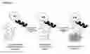 Fig. 05 - Highly fluorogenic protein labelling agents