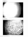 Fig. 06 - METHODS AND COMPOSITIONS FOR IMAGING VIA MOLECULAR BIASING
