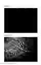 Fig. 07 - METHODS AND COMPOSITIONS FOR IMAGING VIA MOLECULAR BIASING