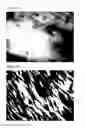 Fig. 11 - METHODS AND COMPOSITIONS FOR IMAGING VIA MOLECULAR BIASING