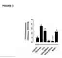 Fig. 04 - Method for diagnosing G-protein coupled receptor-related diseases
