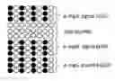 Fig. 01 - Crossmatching blood samples