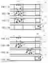 Fig. 11 - Fluidic systems involving incubation of samples and/or reagents