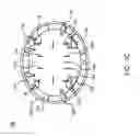 Fig. 04 - ADAPTER FOR POWER FACTOR CORRECTION OF AN ELECTRICAL SUPPLY SYSTEM