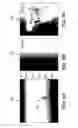 Fig. 06 - Velocity model update with an inversion gradient