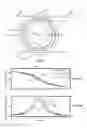 Fig. 13 - Integrated planar optical phased array
