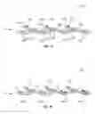 Fig. 14 - Integrated planar optical phased array