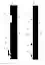 Fig. 04 - Waveguide structures used in phonotics chip packaging