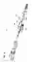 Fig. 13 - Fiber optic connector
