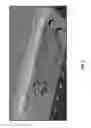Fig. 10 - OPTICAL TRANSCEIVER WITH COMBINED TRANSMITTER AND RECEIVER ASSEMBLY