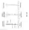 Fig. 24 - Optical image capturing system