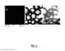 Fig. 04 - METHODS AND SYSTEMS FOR SUPER-RESOLUTION OPTICAL IMAGING USING HIGH-INDEX OF REFRACTION MICROSPHERES AND MICROCYLINDERS