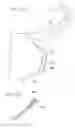Fig. 08 - EYEGLASSES HAVING MULTI-PURPOSE LENS-EXTENDING PORTION