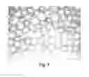 Fig. 07 - METHODS FOR DRIVING ELECTROPHORETIC DISPLAYS USING DIELECTROPHORETIC FORCES