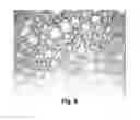 Fig. 08 - METHODS FOR DRIVING ELECTROPHORETIC DISPLAYS USING DIELECTROPHORETIC FORCES