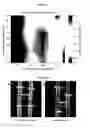 Fig. 06 - Multicolor photolithography materials and methods