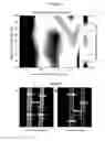 Fig. 09 - Multicolor photolithography materials and methods