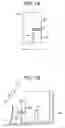 Fig. 02 - Developing device and image forming apparatus incorporating same