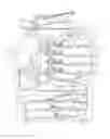 Fig. 02 - Intermediate transfer member and image forming apparatus