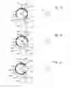 Fig. 06 - Contactless cylinder escapement