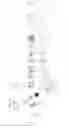 Fig. 04 - Fluid mixing valve
