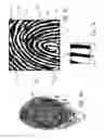 Fig. 03 - Method and system for estimating finger movement with selection of navigation subareas
