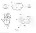 Fig. 05 - Systems and methods for position-based haptic effects