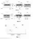 Fig. 10 - TOUCH SENSITIVE ACTIVE PRIVACY SCREEN