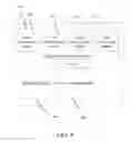 Fig. 08 - METHOD AND ELECTRONIC DEVICE FOR ADJUSTING VIDEO WINDOW BASED ON MULTI-POINT CONTROL