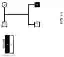 Fig. 10 - VARIANT ANNOTATION, ANALYSIS AND SELECTION TOOL