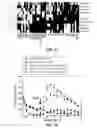 Fig. 06 - PHENOTYPE-BASED CHEMICAL SCREENS