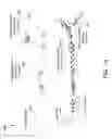 Fig. 17 - DETECTION OF FRAUD OR ABUSE