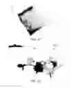 Fig. 30 - DETECTION OF FRAUD OR ABUSE