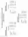 Fig. 35 - Multimarker risk stratification