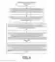 Fig. 13 - Implementing extent granularity authorization processing in CAPI adapters