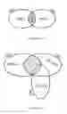 Fig. 13 - Multi-topology logic gates
