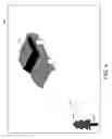 Fig. 06 - Decoding a main image using an auxiliary image