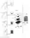 Fig. 04 - Method and fingerprint sensing system for forming a fingerprint image