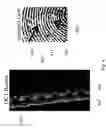 Fig. 05 - Frustrated total internal reflection fingerprint detector