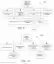 Fig. 09 - AUTOMATIC BILL OF TALENT GENERATION
