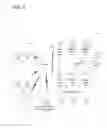 Fig. 04 - SYSTEMS AND METHODS FOR USING BROWSER HISTORY IN ONLINE FRAUD DETECTION