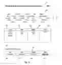 Fig. 07 - Applying Priority Matrix to Survey Results