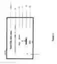 Fig. 06 - App social network via linket and ads for mobile deep links