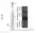 Fig. 65 - Time Tracking System and Method