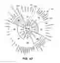 Fig. 43 - CURIOUS QUOTIENT SYSTEM AND METHOD