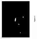 Fig. 07 - Process and device for direct measurements of plant stomata