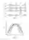 Fig. 05 - Method for automatic tooth type recognition from 3D scans