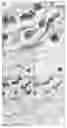 Fig. 01 - Methods for measuring the efficacy of a stain/tissue combination for histological tissue image data