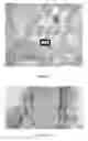 Fig. 09 - Methods for measuring the efficacy of a stain/tissue combination for histological tissue image data