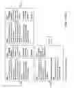 Fig. 20 - Fast and automated segmentation of layered image with heuristic graph search